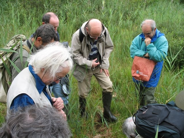2007 07 Marais du Cerisaie 07